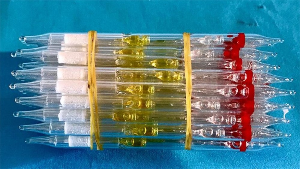 İstanbul'da bin 725 tüp yılan zehri ele geçirildi