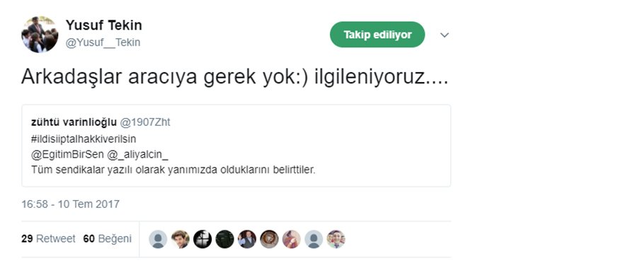 tekin1.jpg
